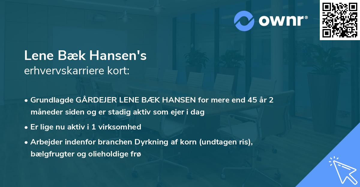 Lene Bæk Hansen's erhvervskarriere kort