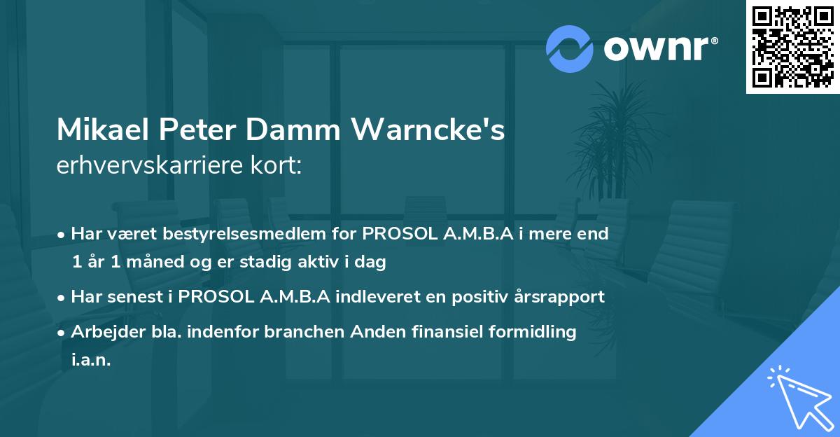Mikael Peter Damm Warncke's erhvervskarriere kort