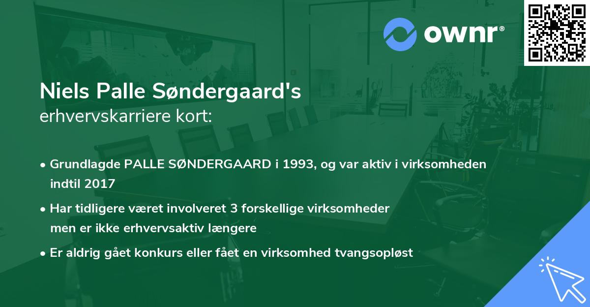 Niels Palle Søndergaard's erhvervskarriere kort