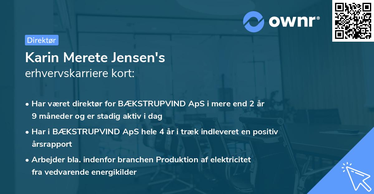 Karin Merete Jensen's erhvervskarriere kort