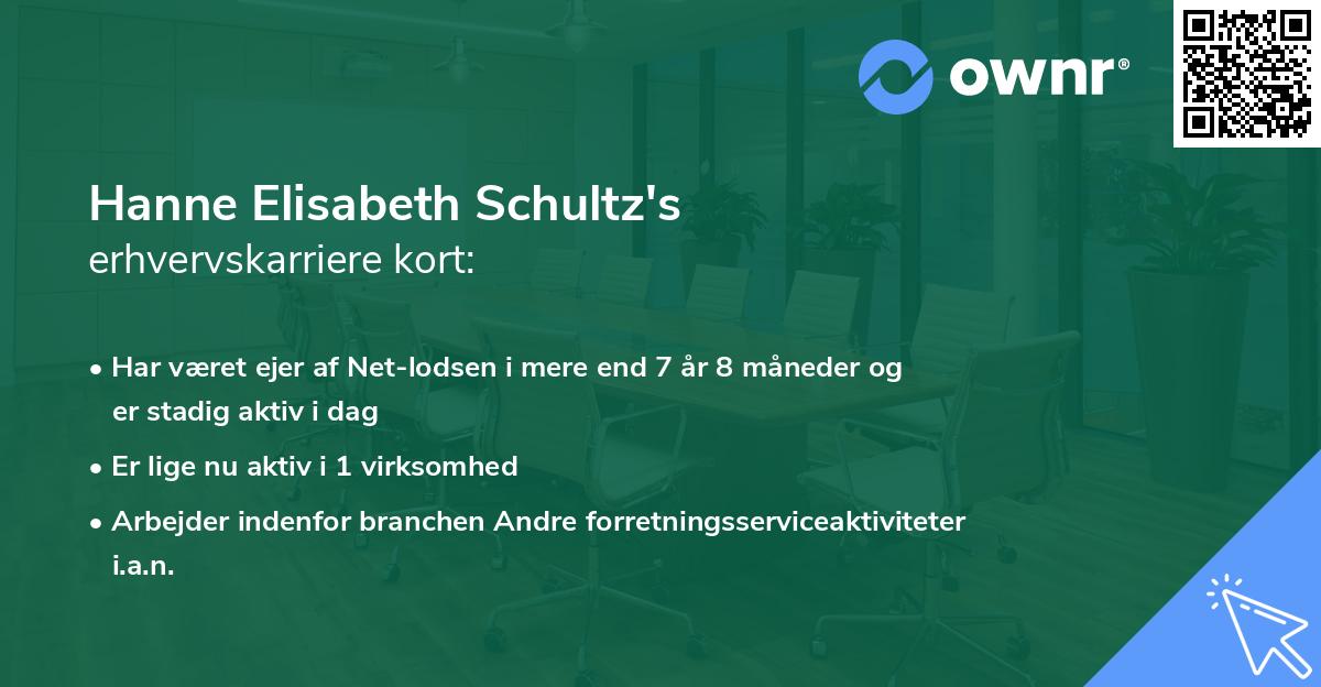 Hanne Elisabeth Schultz's erhvervskarriere kort