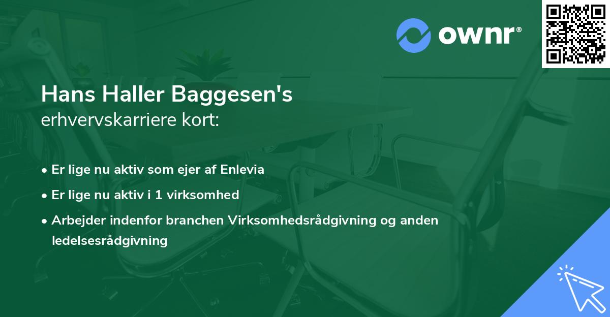 Hans Haller Baggesen's erhvervskarriere kort