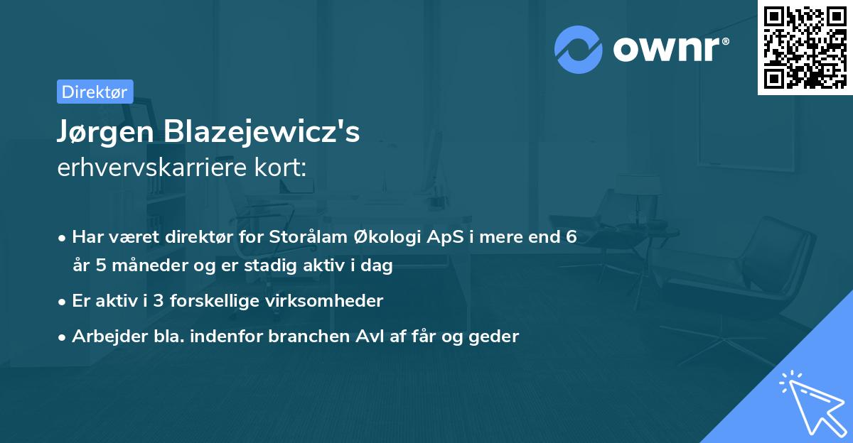 Jørgen Blazejewicz's erhvervskarriere kort