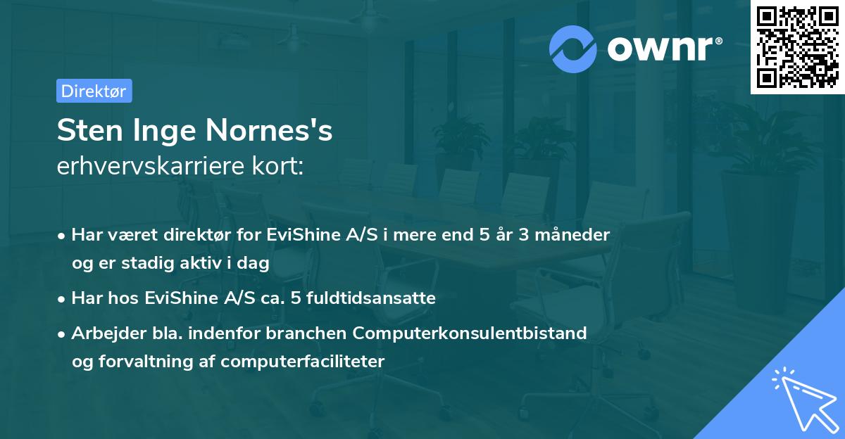 Sten Inge Nornes's erhvervskarriere kort