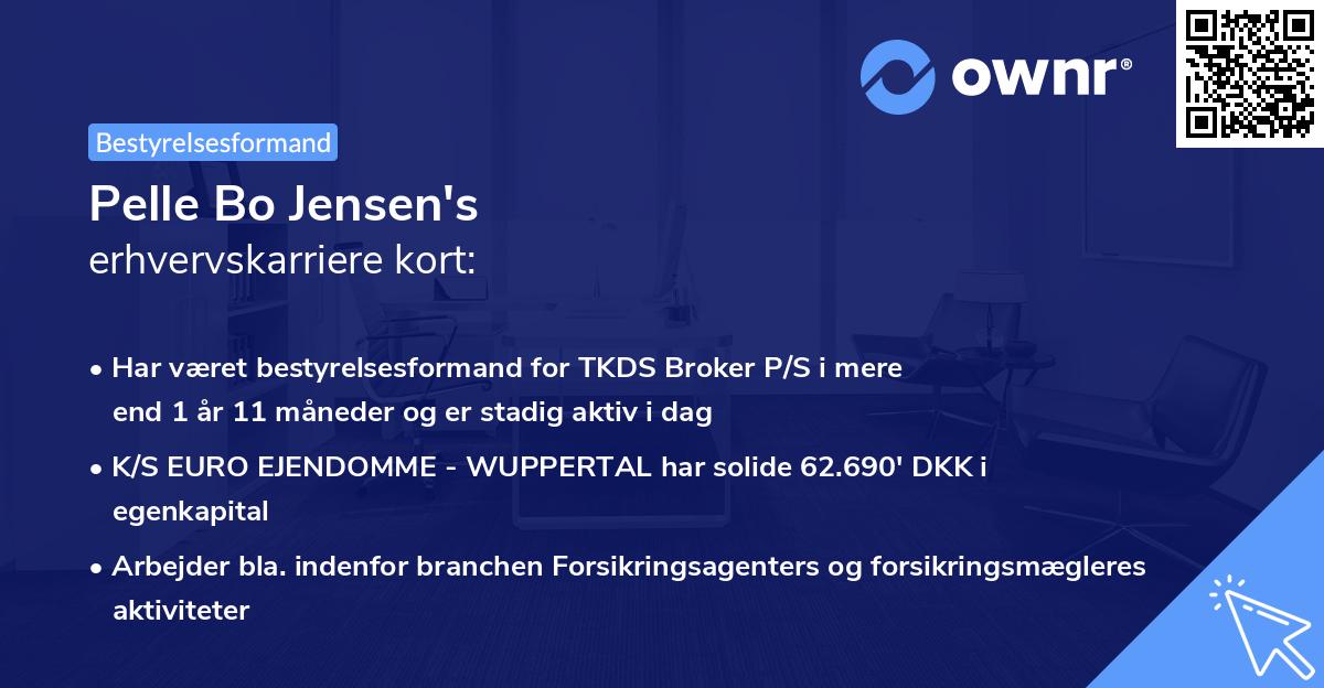 Pelle Bo Jensen's erhvervskarriere kort