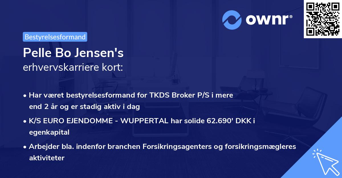 Pelle Bo Jensen's erhvervskarriere kort