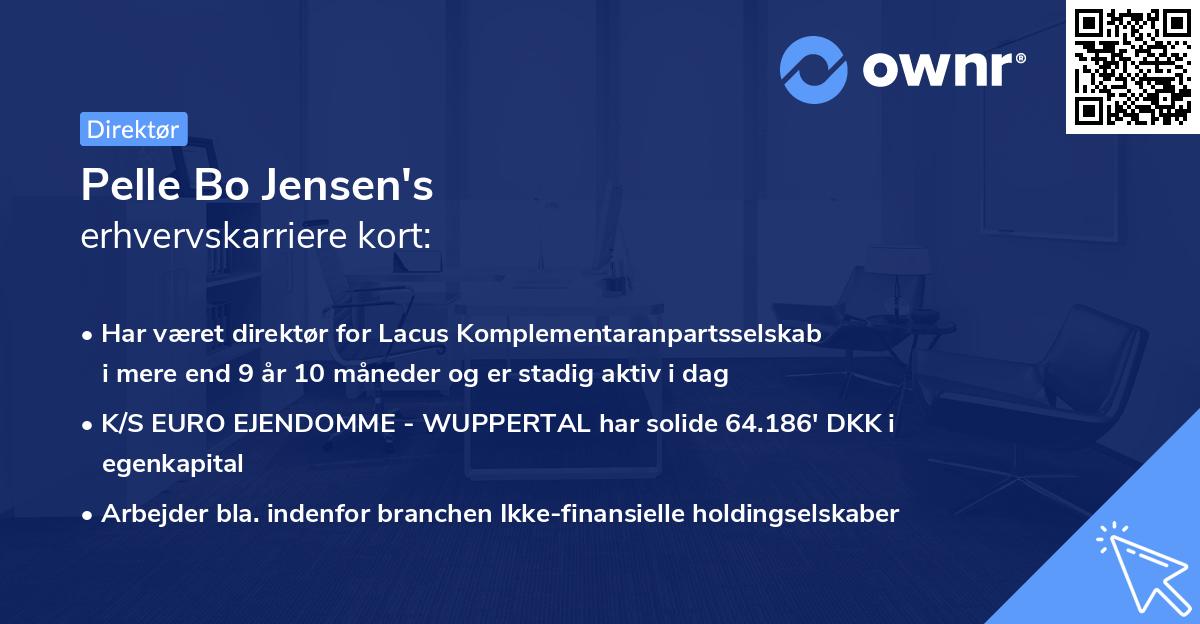 Pelle Bo Jensen's erhvervskarriere kort