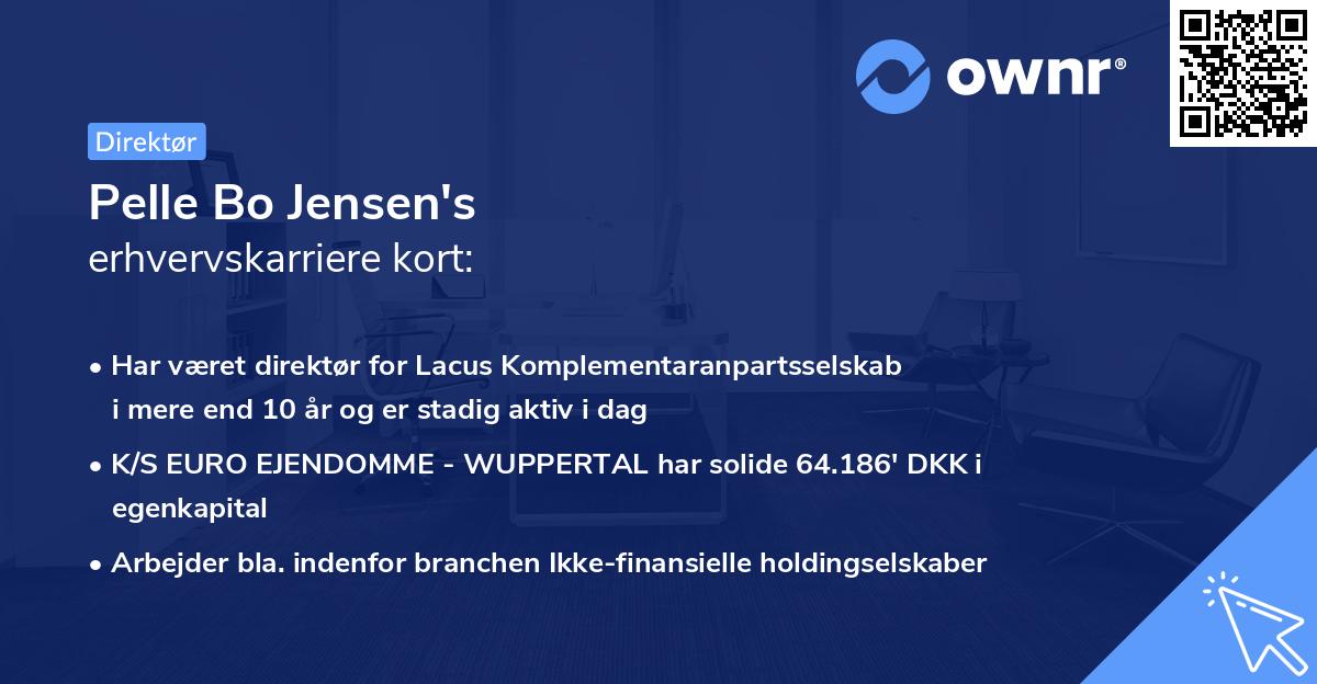 Pelle Bo Jensen's erhvervskarriere kort