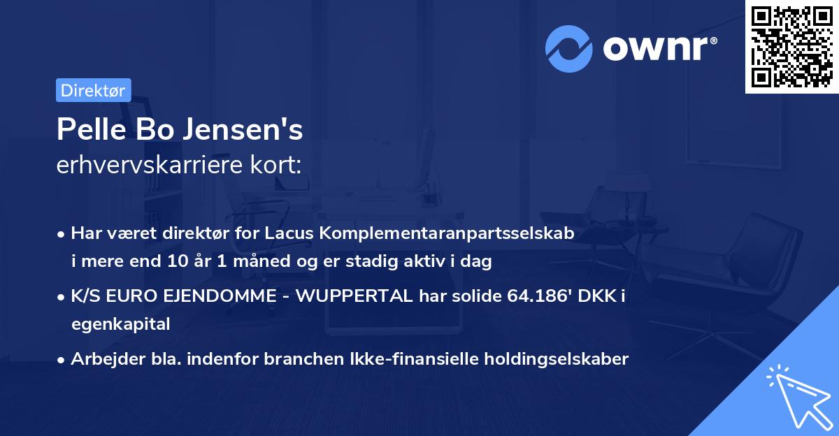 Pelle Bo Jensen's erhvervskarriere kort