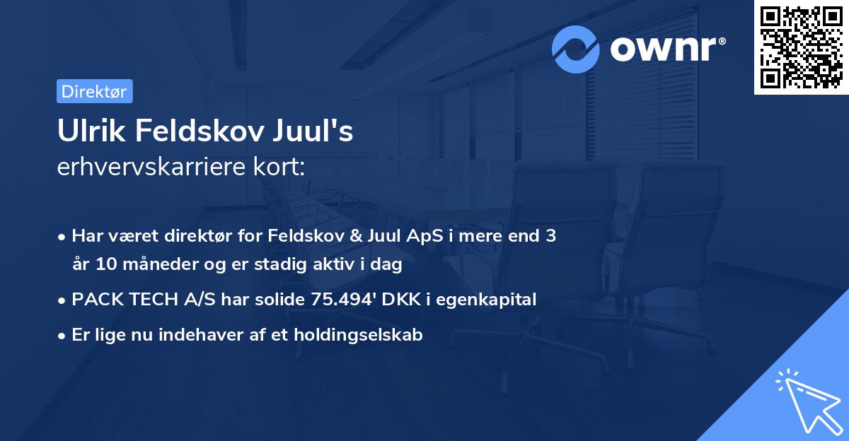 Ulrik Feldskov Juul's erhvervskarriere kort