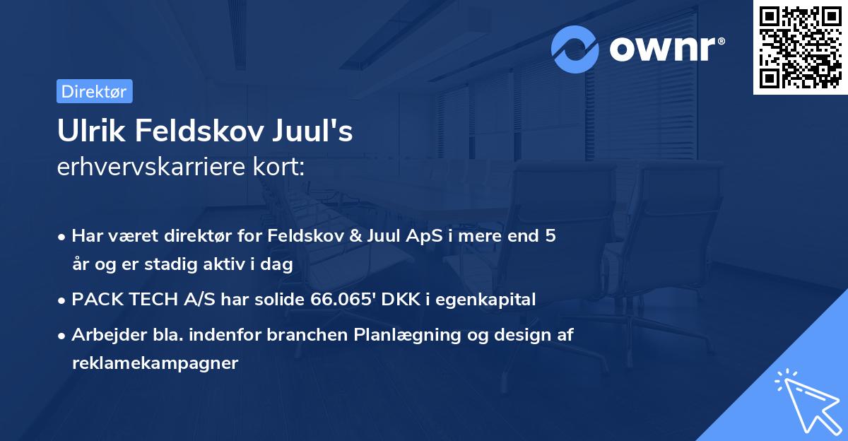 Ulrik Feldskov Juul's erhvervskarriere kort
