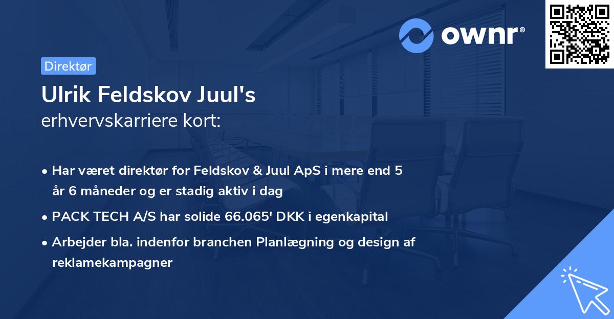 Ulrik Feldskov Juul's erhvervskarriere kort