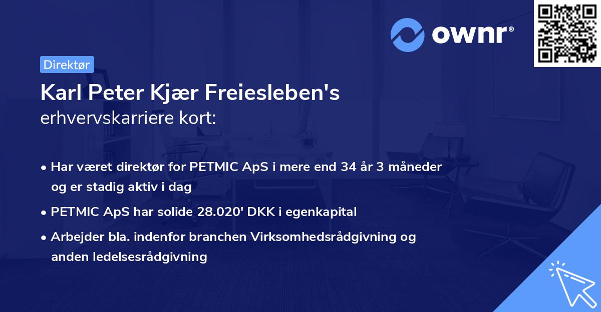 Karl Peter Kjær Freiesleben's erhvervskarriere kort