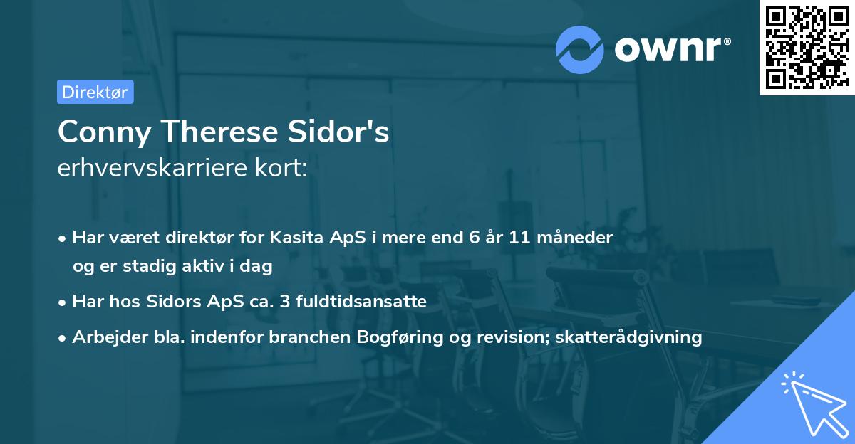 Conny Therese Sidor's erhvervskarriere kort