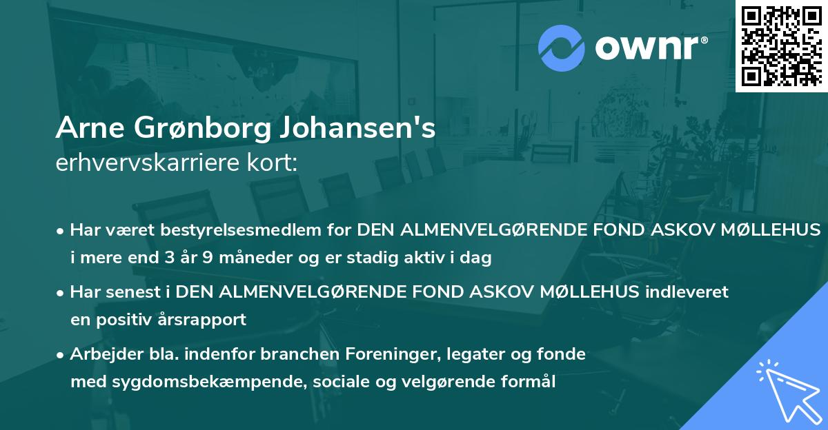 Arne Grønborg Johansen's erhvervskarriere kort