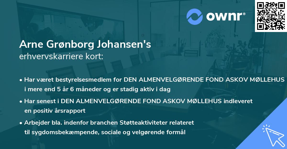 Arne Grønborg Johansen's erhvervskarriere kort