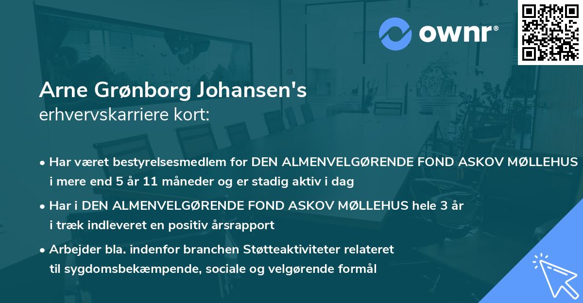 Arne Grønborg Johansen's erhvervskarriere kort