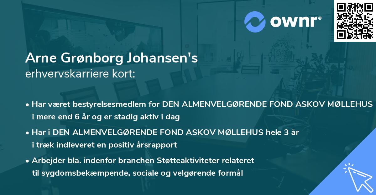 Arne Grønborg Johansen's erhvervskarriere kort