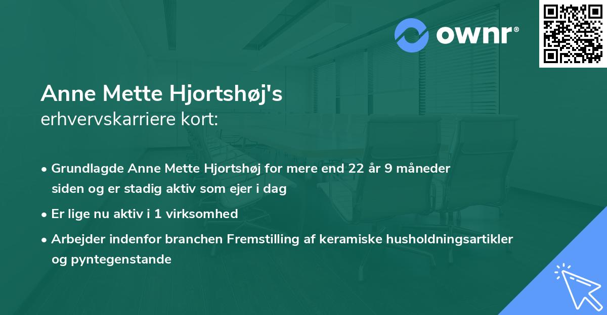 Anne Mette Hjortshøj's erhvervskarriere kort