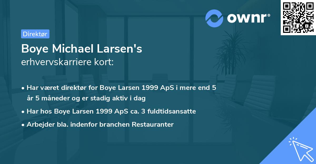 Boye Michael Larsen's erhvervskarriere kort