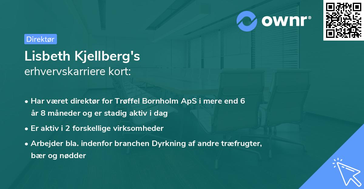 Lisbeth Kjellberg's erhvervskarriere kort