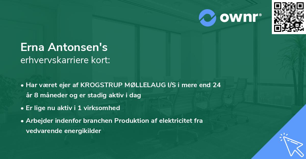 Erna Antonsen's erhvervskarriere kort