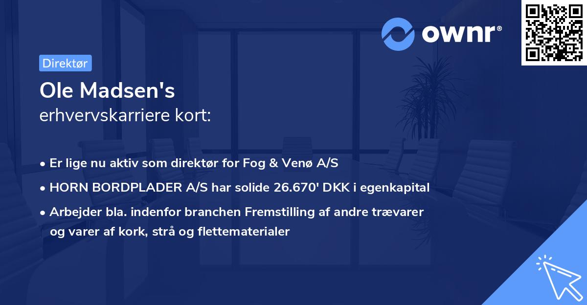 Ole Madsen's erhvervskarriere kort