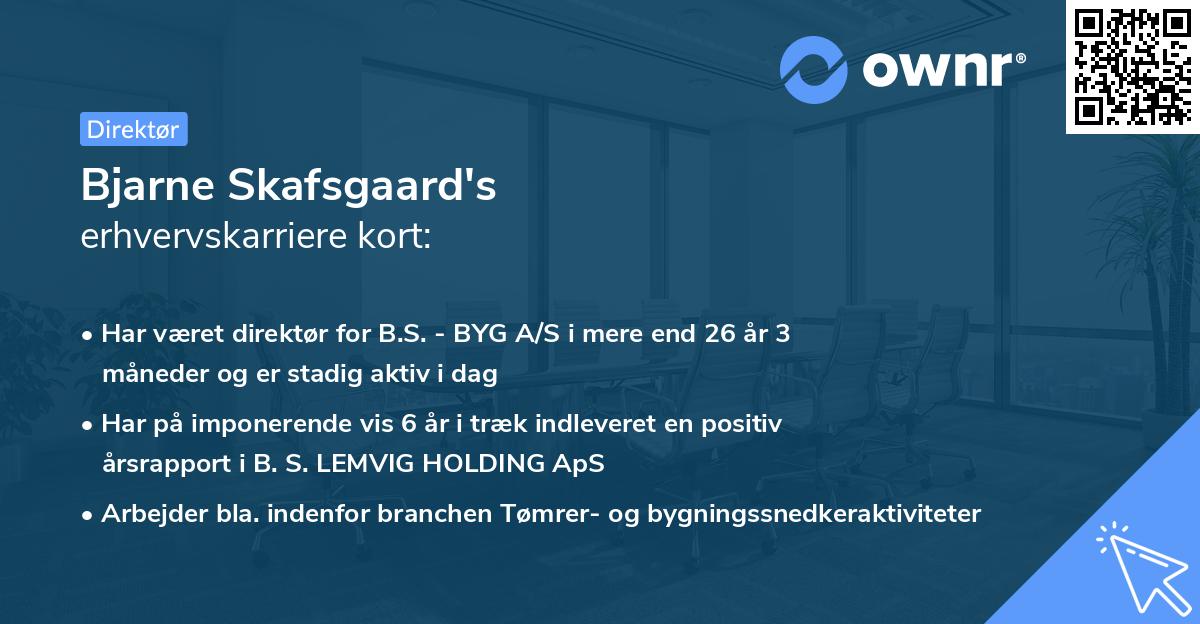 Bjarne Skafsgaard's erhvervskarriere kort