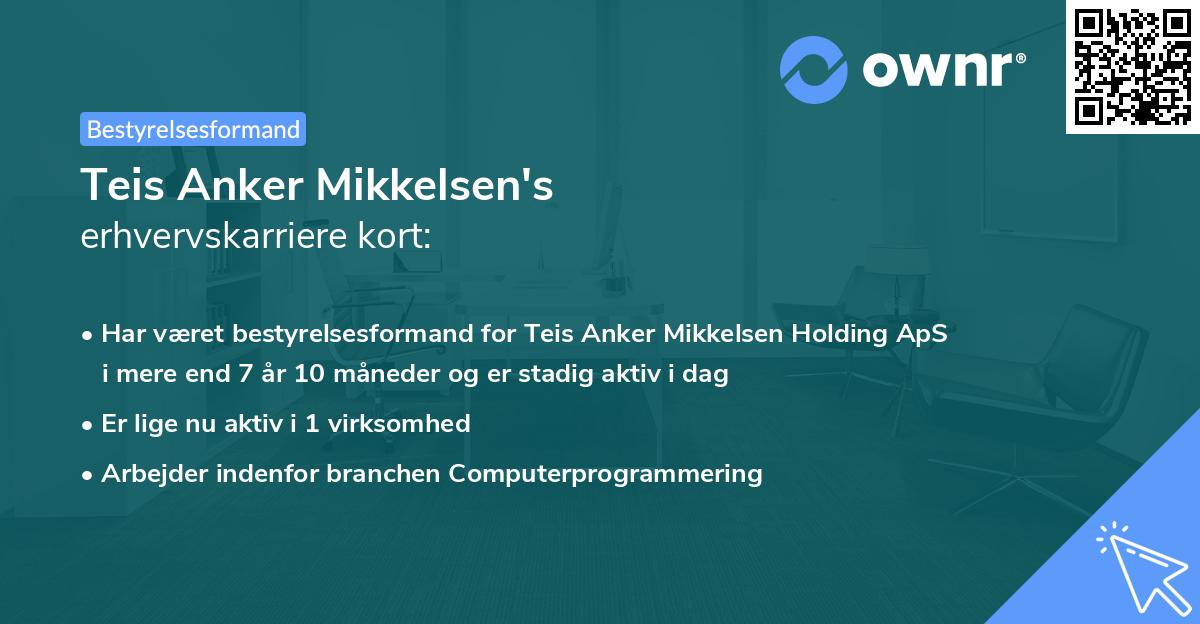 Teis Anker Mikkelsen's erhvervskarriere kort