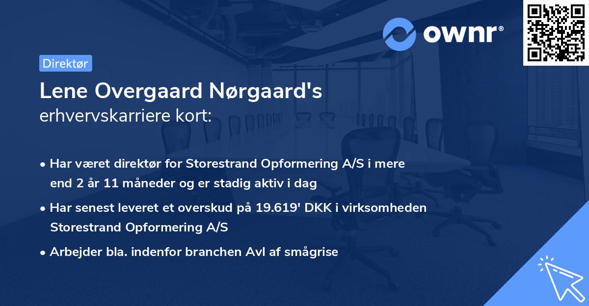 Lene Overgaard Nørgaard's erhvervskarriere kort