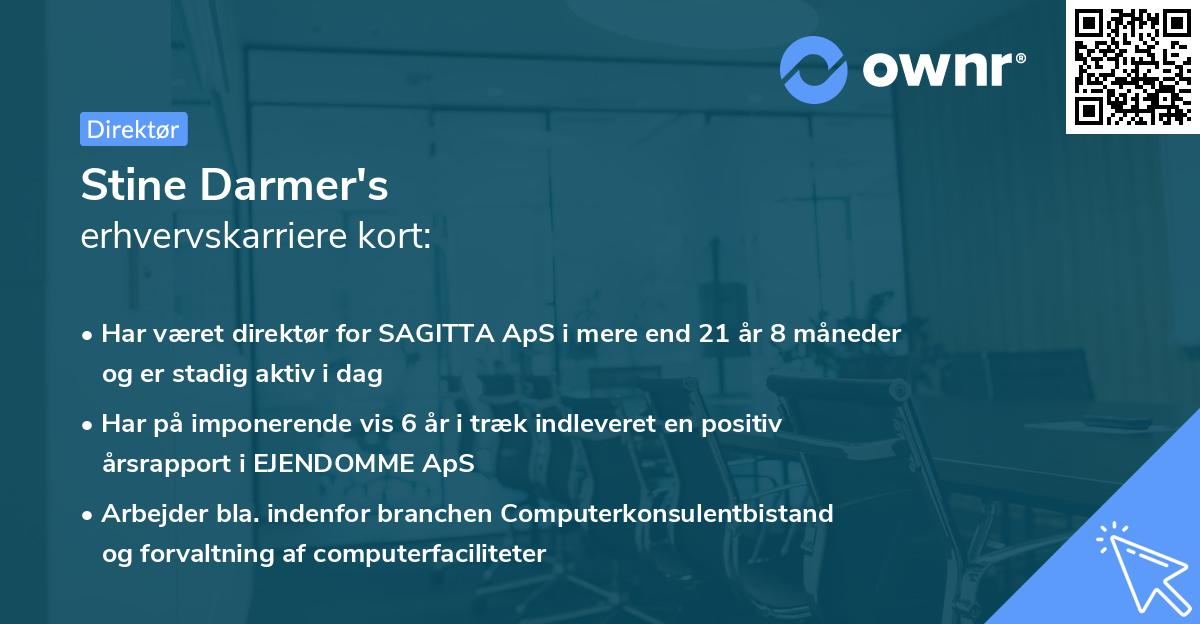Stine Darmer's erhvervskarriere kort