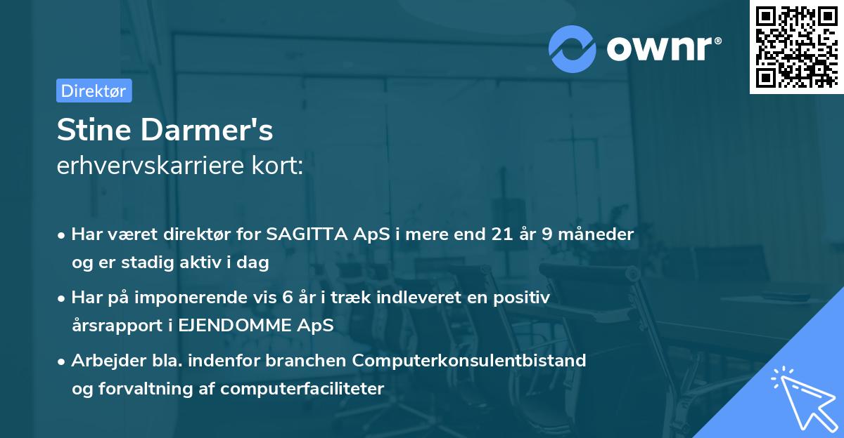 Stine Darmer's erhvervskarriere kort