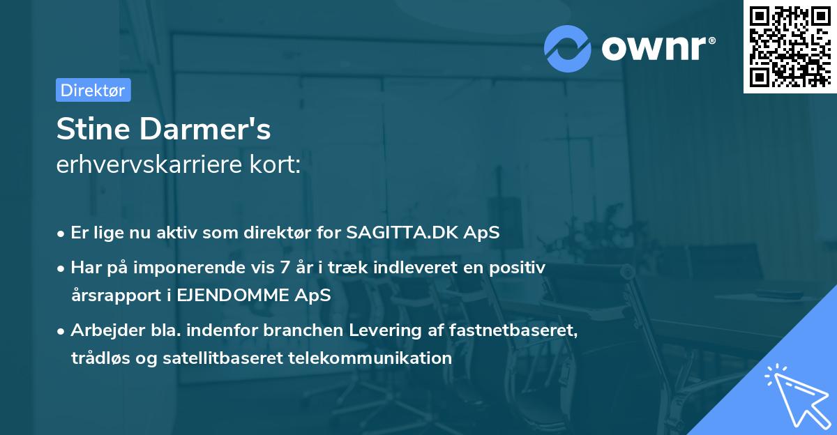 Stine Darmer's erhvervskarriere kort