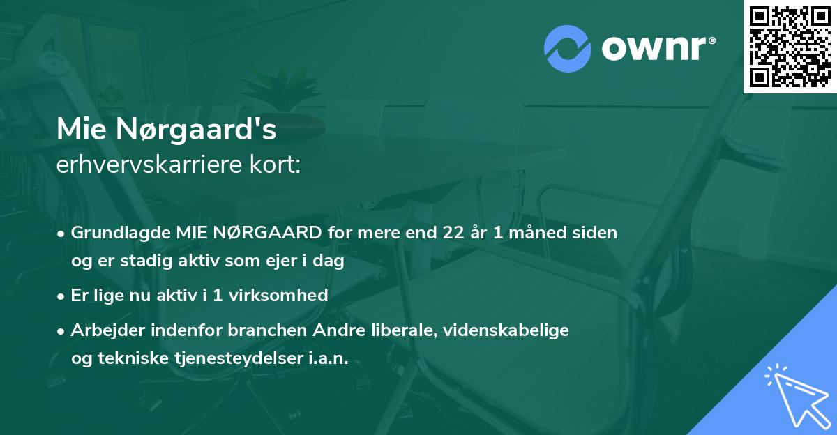 Mie Nørgaard's erhvervskarriere kort