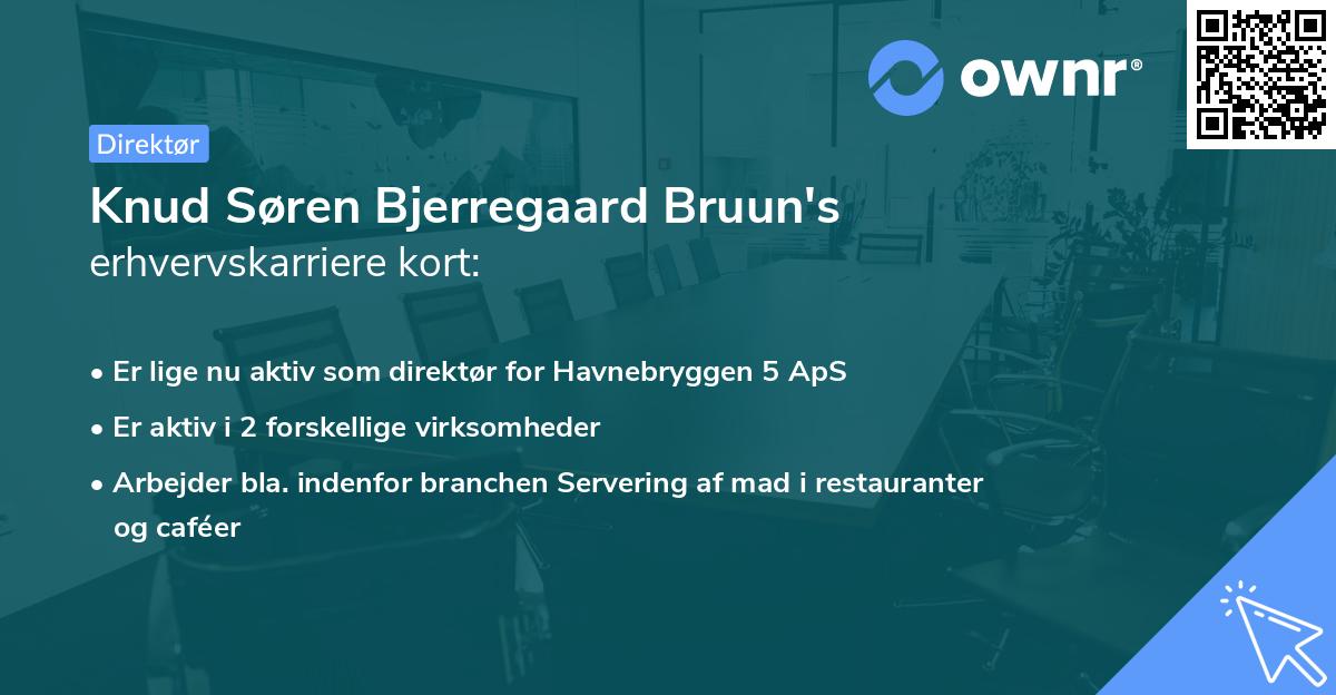 Knud Søren Bjerregaard Bruun's erhvervskarriere kort