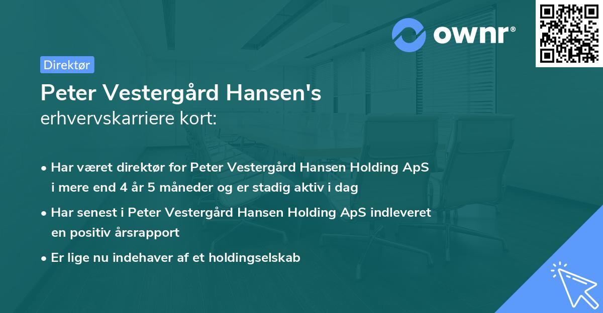 Peter Vestergård Hansen's erhvervskarriere kort