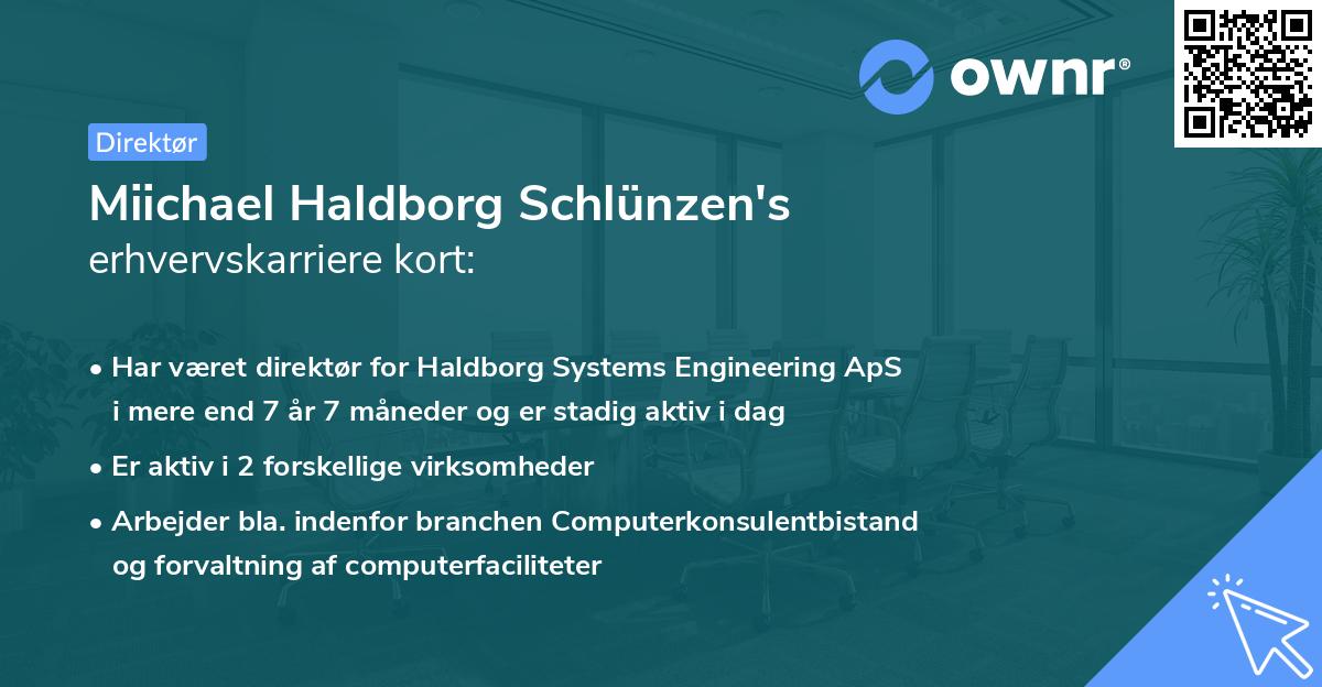 Miichael Haldborg Schlünzen's erhvervskarriere kort