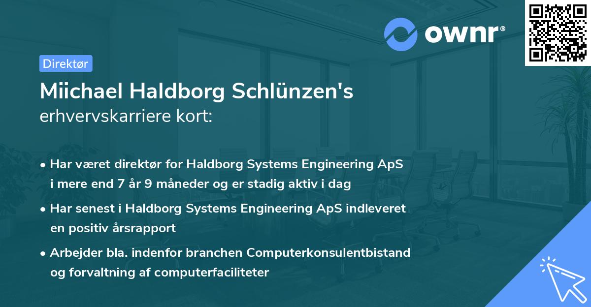 Miichael Haldborg Schlünzen's erhvervskarriere kort