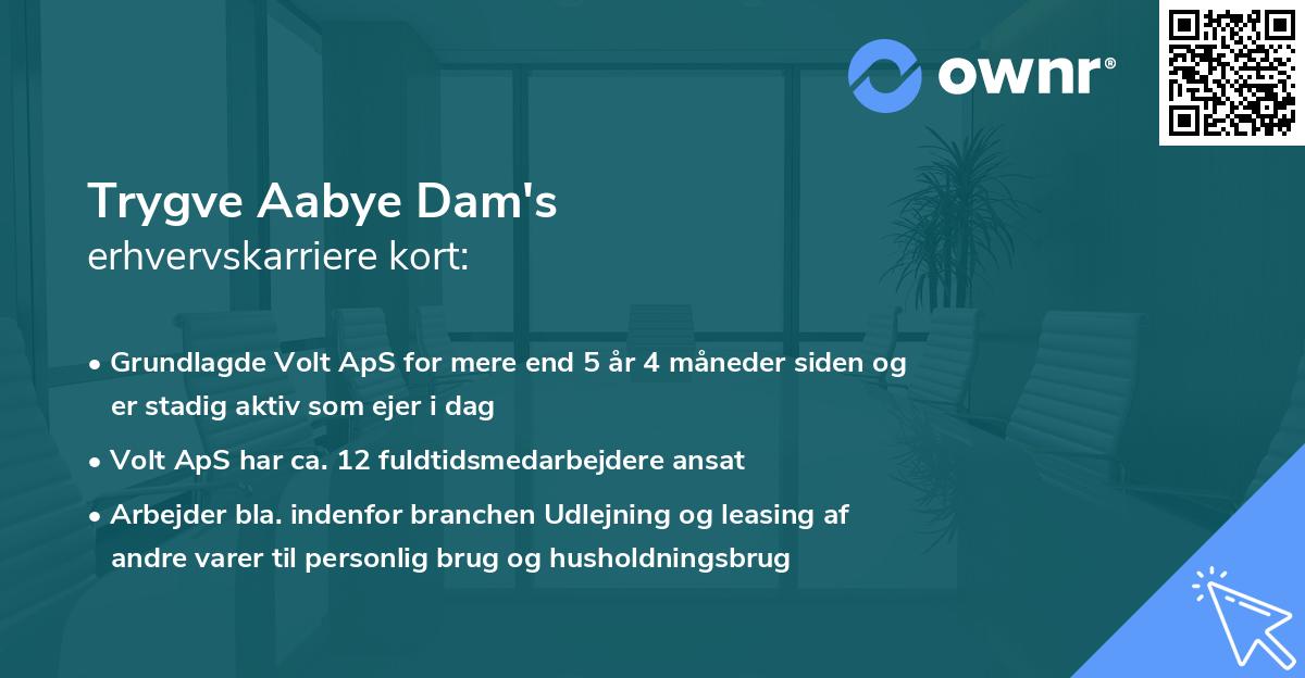 Trygve Aabye Dam's erhvervskarriere kort