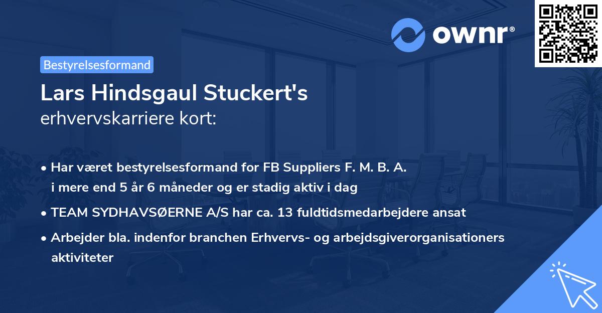 Lars Hindsgaul Stuckert's erhvervskarriere kort