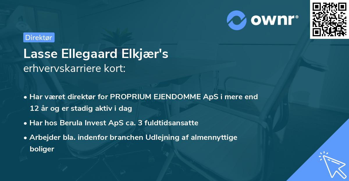 Lasse Ellegaard Elkjær's erhvervskarriere kort