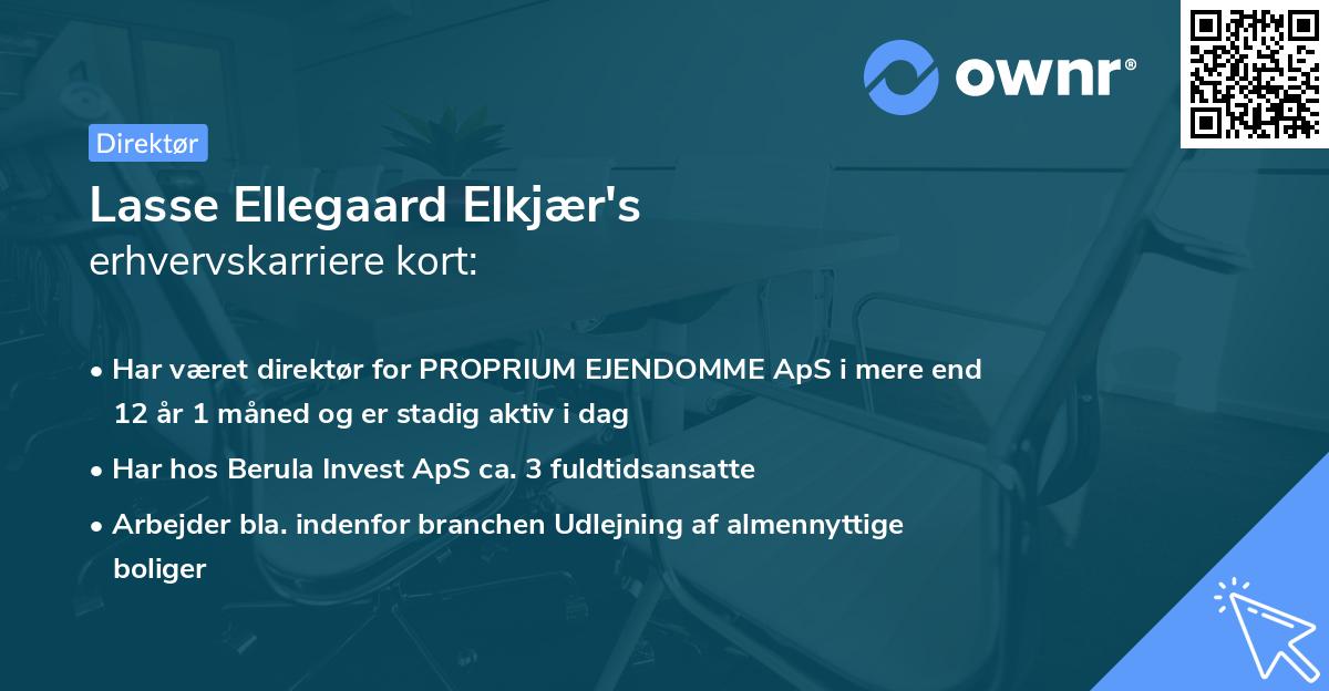 Lasse Ellegaard Elkjær's erhvervskarriere kort
