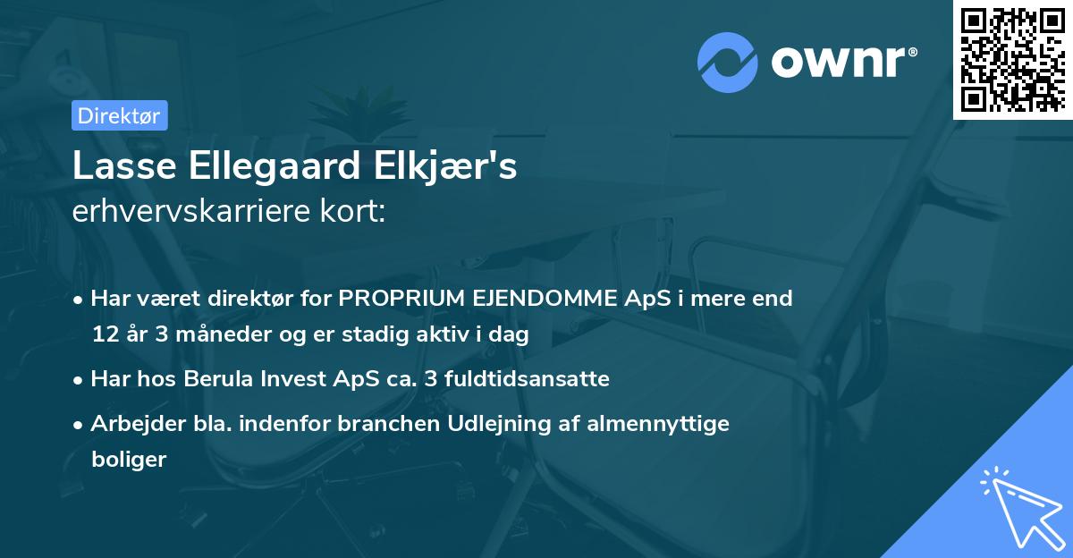 Lasse Ellegaard Elkjær's erhvervskarriere kort
