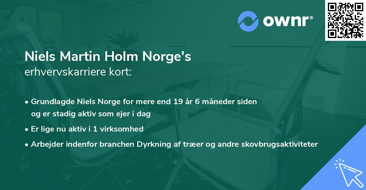Niels Martin Holm Norge's erhvervskarriere kort