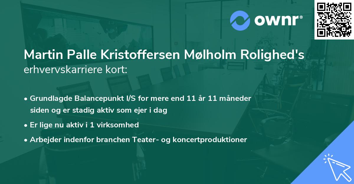 Martin Palle Kristoffersen Mølholm Rolighed's erhvervskarriere kort