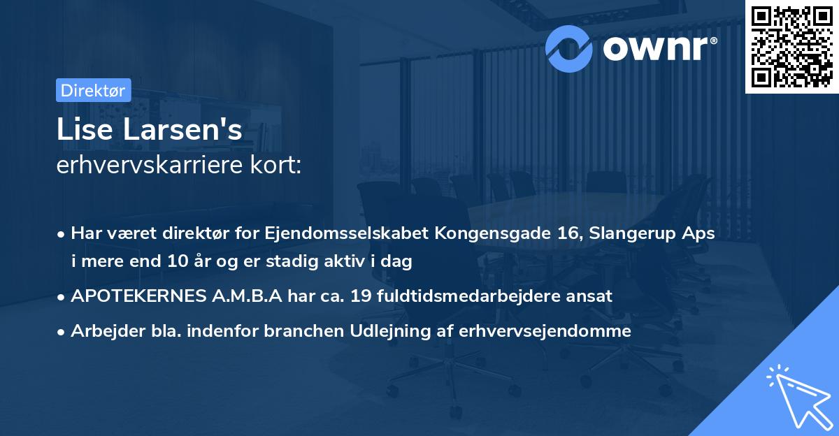 Lise Larsen's erhvervskarriere kort