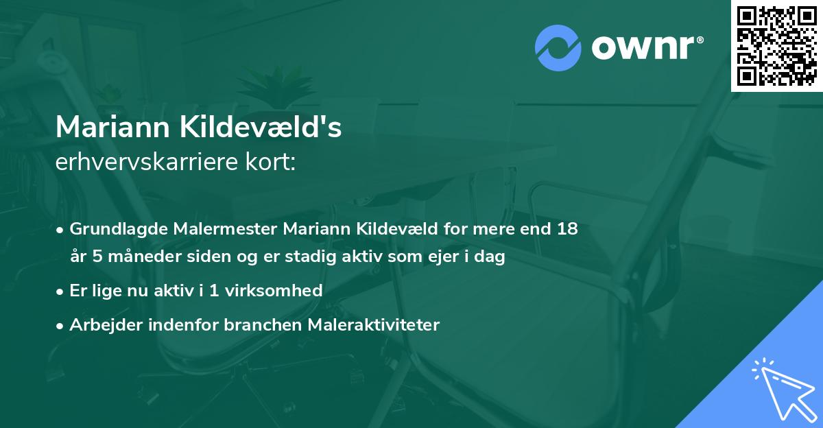 Mariann Kildevæld's erhvervskarriere kort