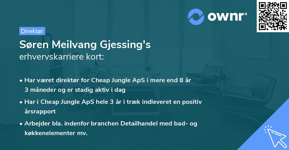 Søren Meilvang Gjessing's erhvervskarriere kort
