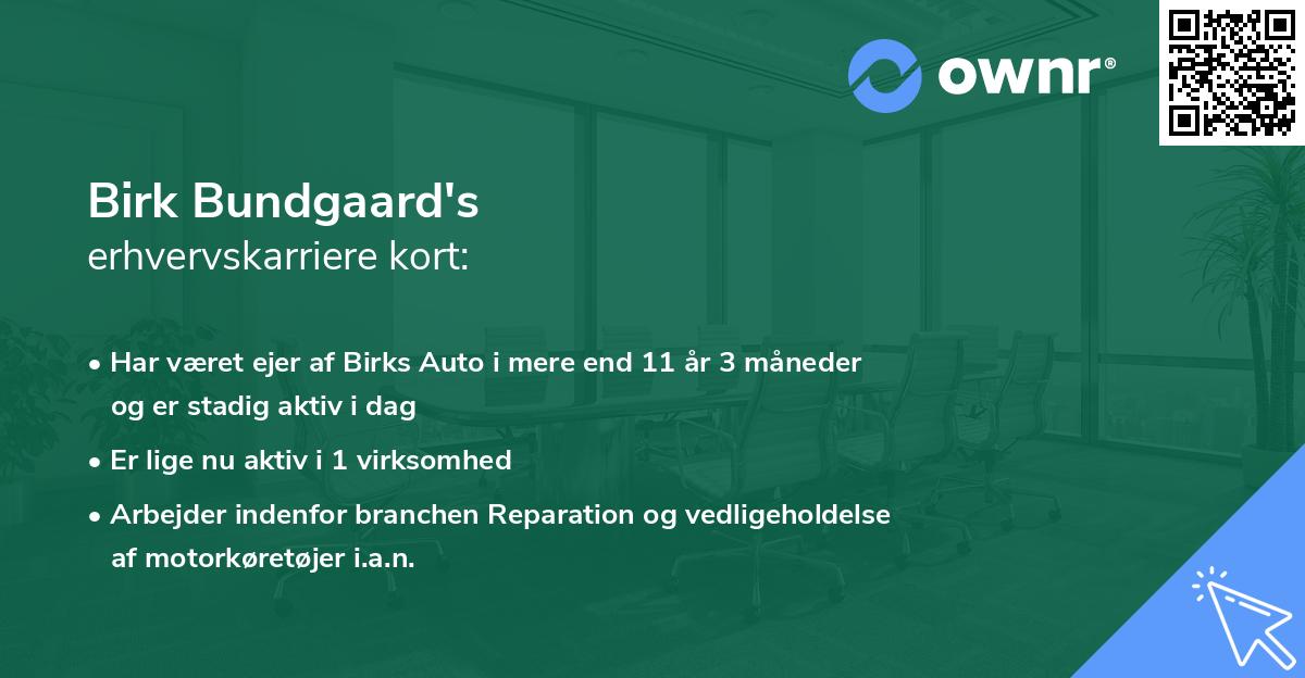 Birk Bundgaard's erhvervskarriere kort