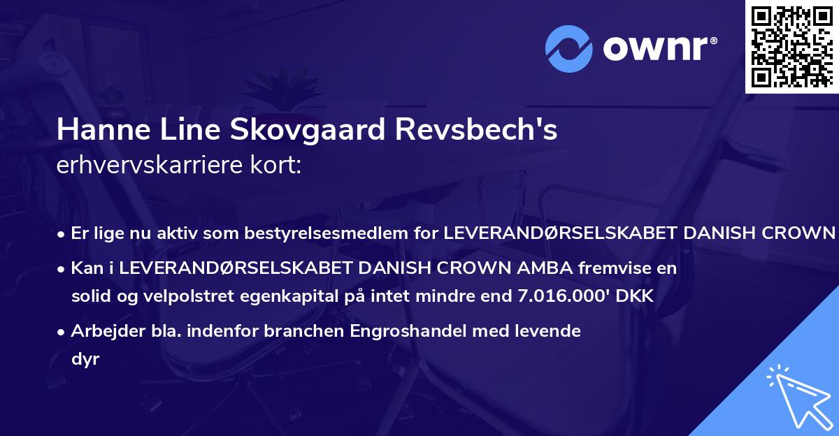 Hanne Line Skovgaard Revsbech's erhvervskarriere kort